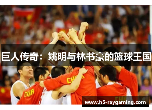 巨人传奇：姚明与林书豪的篮球王国