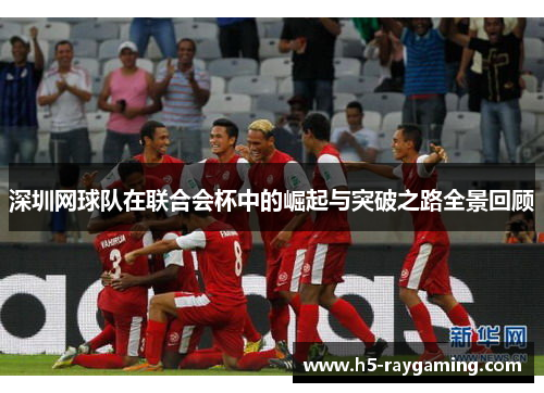 深圳网球队在联合会杯中的崛起与突破之路全景回顾