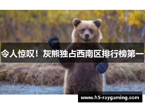 令人惊叹！灰熊独占西南区排行榜第一